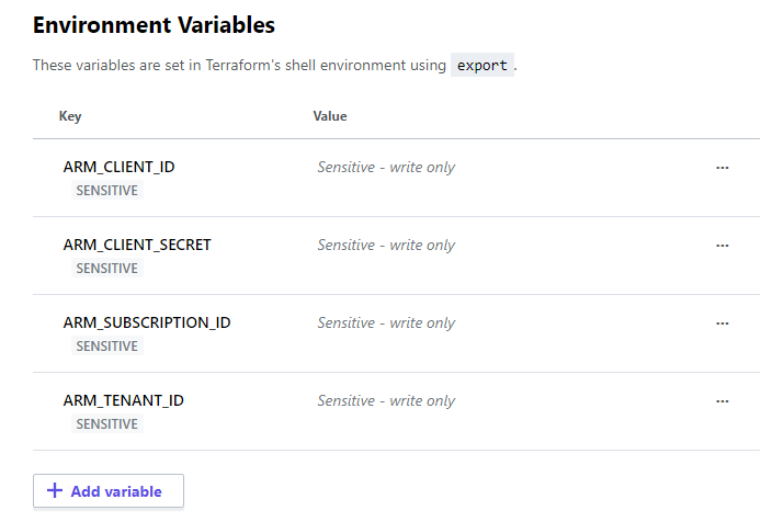 terraform cloud environment variable